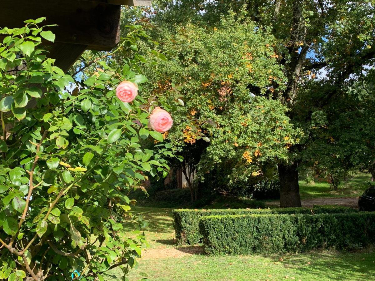 Majellon Grand Appartement Sainte-Christie-d'Armagnac 外观 照片